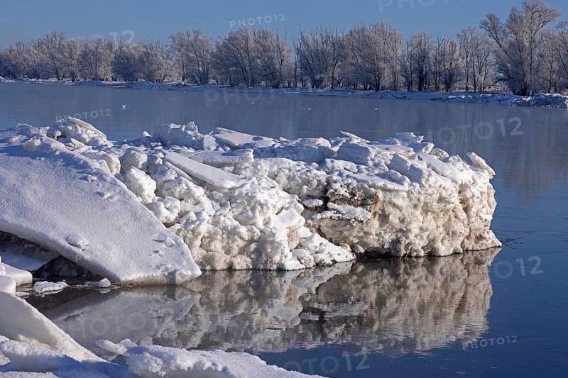 Ice floes, trees, wintery Elbe near Bleckede, Lower Saxony, Germany