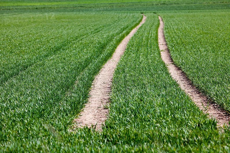 Agricultural fields near the village of Gewissenruh, Oberweser, Upper Weser Valley, Weser Uplands, Weserbergland, Reinhardswald, Hesse, Germany