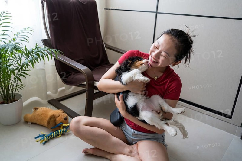 A young woman joyfully trains her Cavalier King Charles Spaniel at home. She engages with her playful companion, fostering a bond through training and affection in a cozy setting