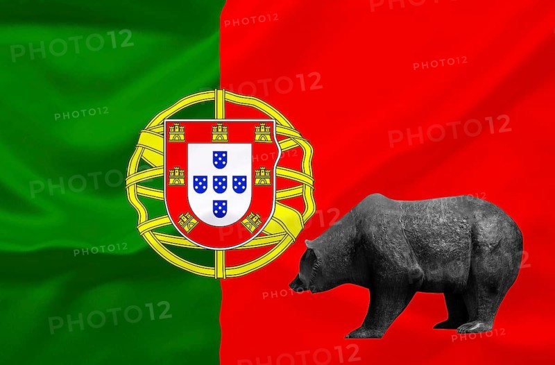 Stock market, stocks, share prices in Portugal, bear market, falling prices, flag, national flag, bear, bull and bear, symbolic figures of the stock exchange, Portugal, Lisbon, studio recording, Federal Republic of Germany