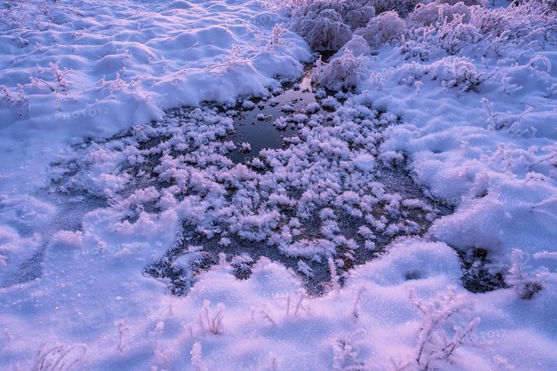 Pond with ice crystals in a swamp, Norrbotten, Lapland, Sweden, November 2022