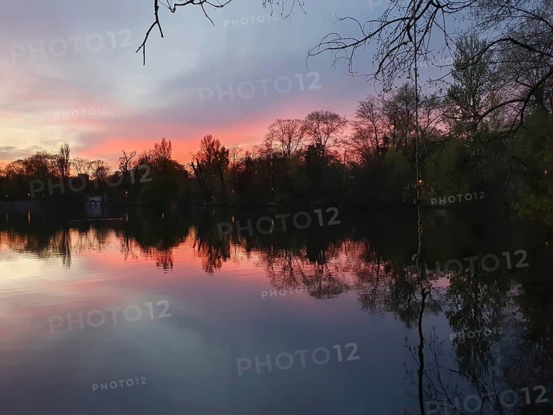 Sunset reflected in a quiet lake with trees, Weissensee, Pankow, Berlin