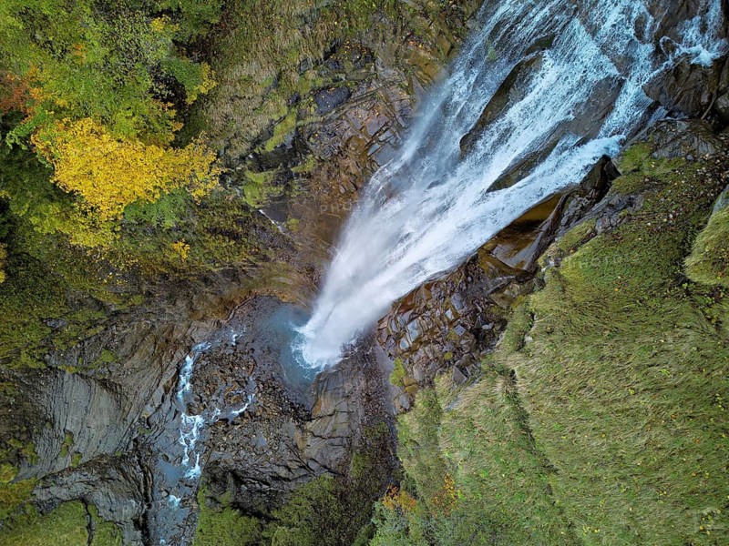 Autumn-coloured sycamore maple (Acer pseudo plantanus), at the Diesbach waterfall, Canton Glarus, Switzerland