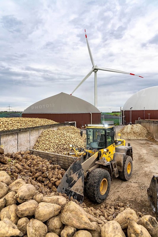 Biogas plant produces gas from various biomass, here the sugar beet storage, the electricity is produced in combined heat and power plants with the biogas produced and sold to companies in the neighbouring industrial estate, the heat generated is fed into a local heating network, gas storage and wind power plant, Ense, North Rhine-Westphalia, Germany