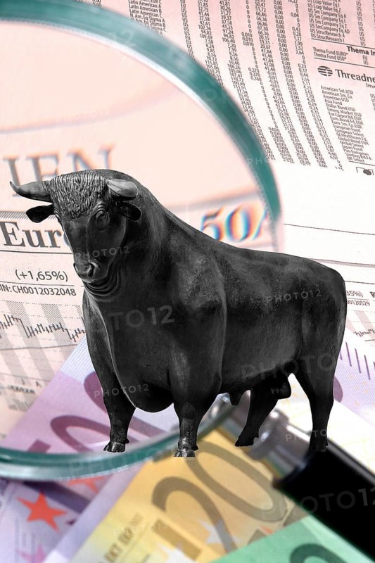 Bull and bear, symbolic figures of the stock market, Studio