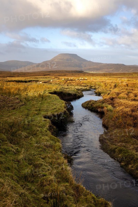 Idyllic stream, mountains and meadows where sheep graze, Isle of Skye, Scotland, Great Britain