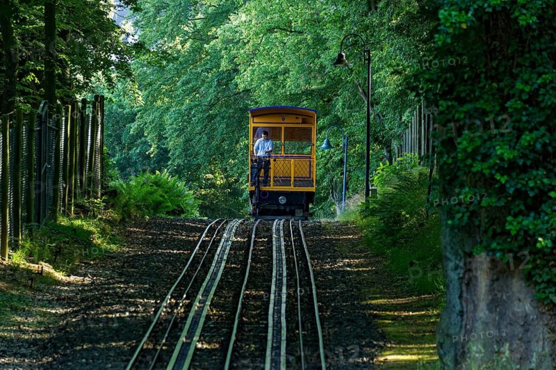 Historic funicular railway, rack and pinion funicular railway with water load on tracks, Nerobergbahn from 1888 travelling in the forest, technical cultural monument, Neroberg, Wiesbaden, Hesse, Germany