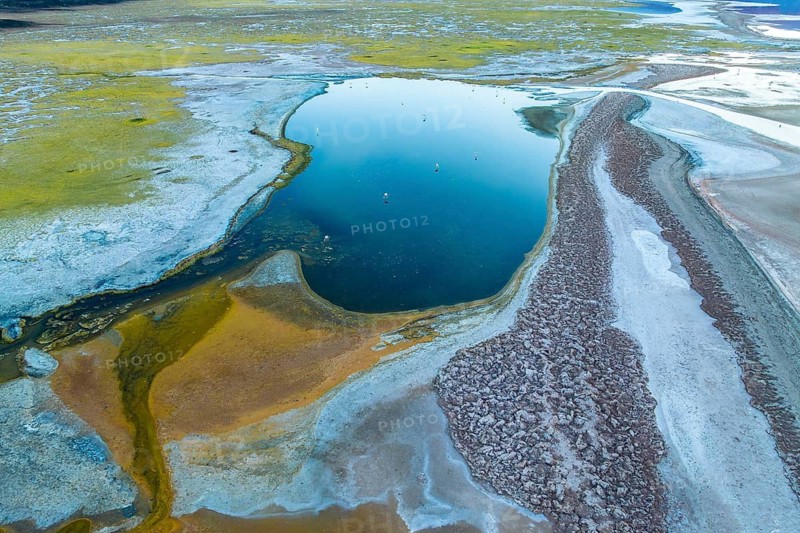 From above, the Carachipampa Lagoon in Catamarca, Argentina, reveals its stunning geomorphic patterns and contrasting colors, captured by a drone