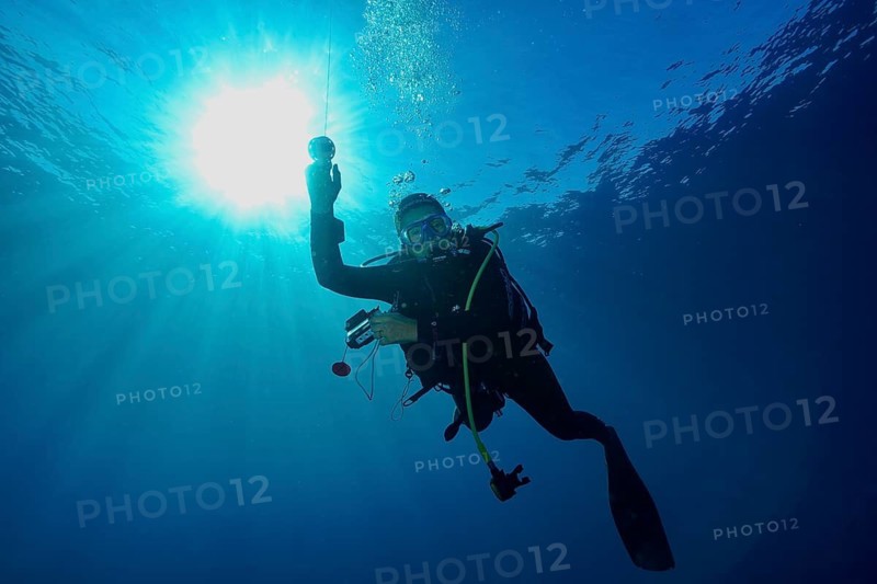 Diver at safety stop raises an arm in the direction of sun rays penetrating through the water, Giens Peninsula dive site, Mediterranean, Porquerolles, Provence, Côte d'Azur, France