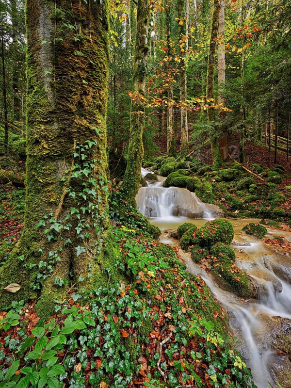 Waterfall surrounded by moss-covered stones in autumnal coloured surroundings, on the river Sihl, Sihlsprung, Menzingen, Canton Zug, Switzerland