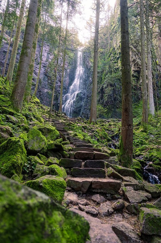 A waterfall in a forest with moss-covered rocks and a stony path, Burgbach waterfall, Bad Rippoldsau-Schapbach, Black Forest, Germany