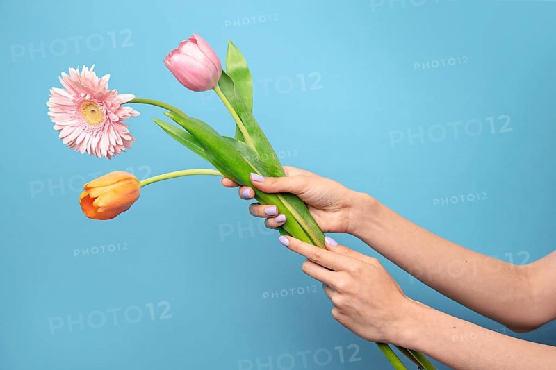 Woman's hands gently holding a bouquet of colorful flowers, including pink and orange blooms, set against a vibrant blue background, showcasing beauty and elegance