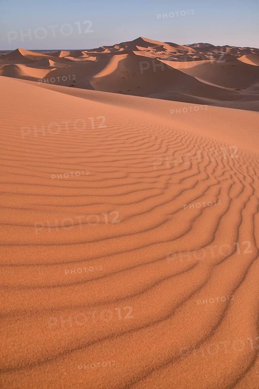 Dunes in the morning light, Great Sand Sea, Sahara, Merzouga, Meknès-Tafilalet region, Morocco