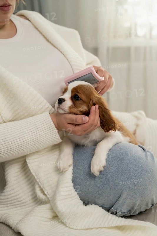 A woman gently brushes a small dog on their lap, showcasing a moment of pet care and relaxation. The setting is cozy and homey, emphasizing love and bonding