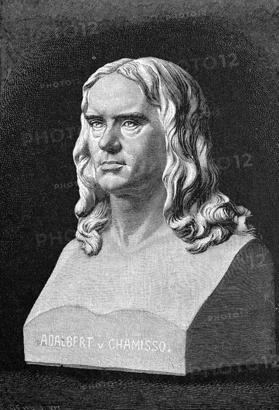 Bust for the Chamisso Monument in Berlin, Adelbert von Chamisso, 30 January 1781, 21 August 1838, a German naturalist and poet of French origin, Historical, digital reproduction of an original from the 19th century