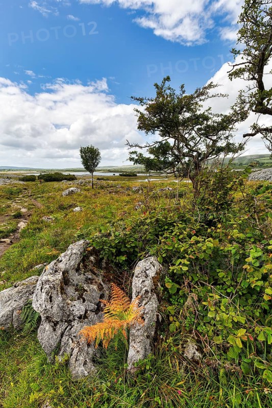 Hiking trail in karst landscape, lake on the horizon, Burren National Park, County Clare, Ireland