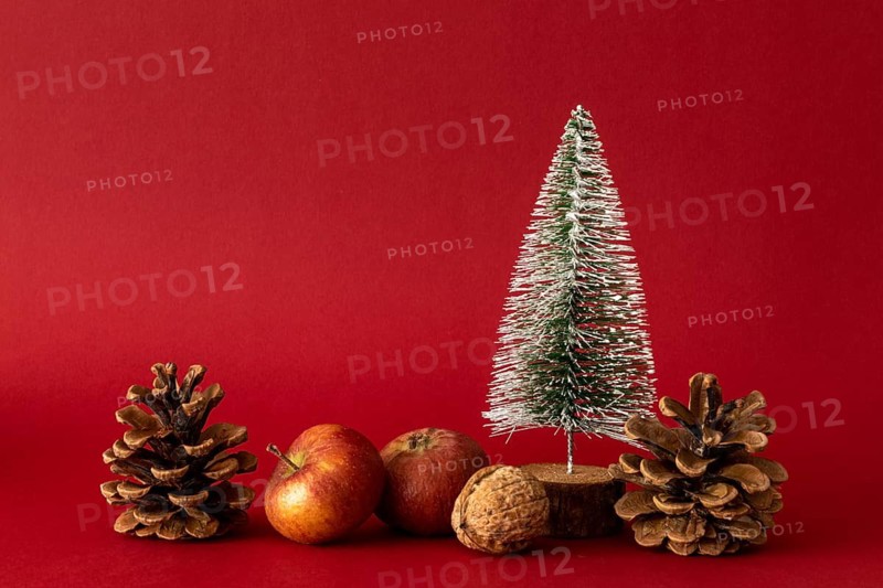 Christmas decoration, Christmas, decoration, Christmas tree, apples, nuts, pine cones, studio, Baden-Württemberg, Federal Republic of Germany