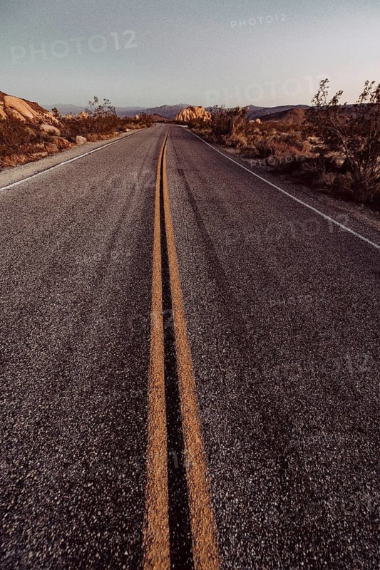 Road Joshua Tree National Park