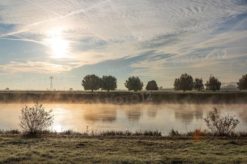 Morning with fog on the Elbe at sunrise, Radebeul, Saxony, Germany