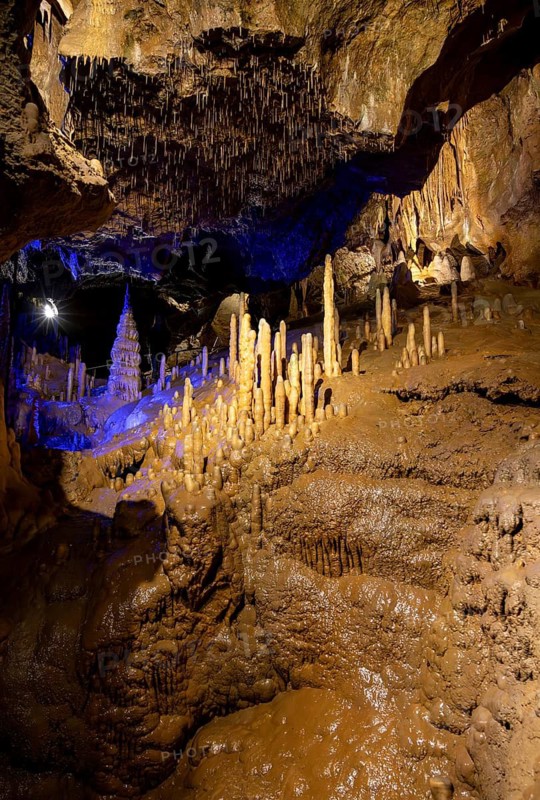 Stalagmites and stalactites in a cave, Devil's Cave Pottenstein, Franconian Switzerland, Franconia, Bavaria, Germany