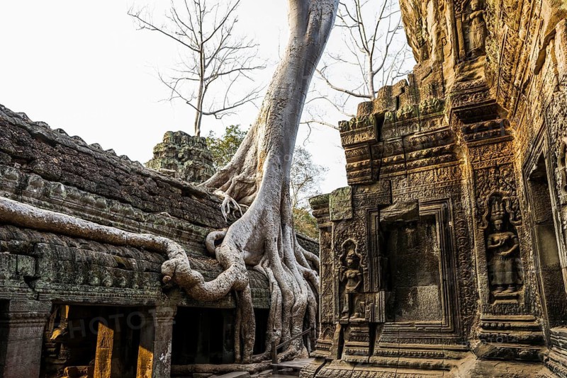 Ta Prohm, Angkor Wat, Angkor, UNESCO World Heritage Site, Siem Reap, Cambodia, Indochina, Southeast Asia