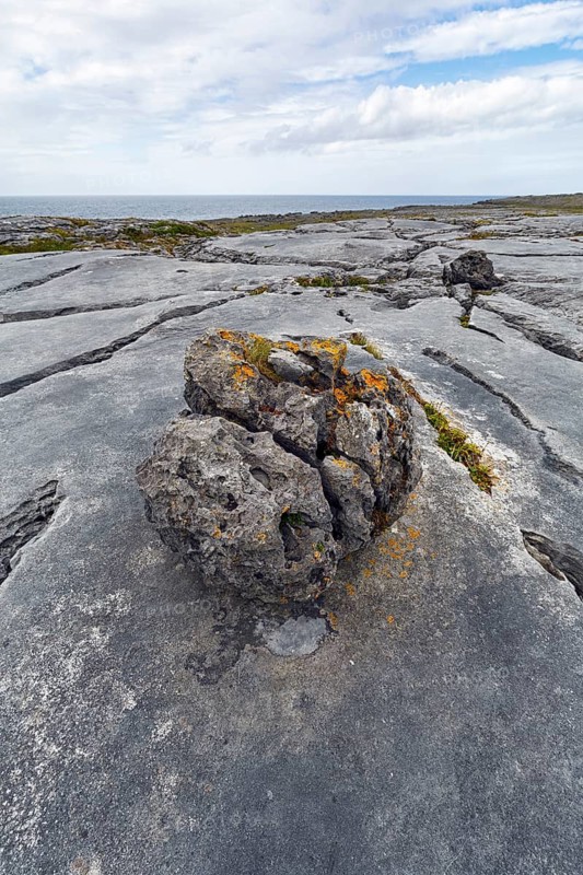 Bizarrely shaped limestone slabs, hiking trail along the coastline, limestone coast of the Burren, Murrooghtoohy viewpoint, County Clare, Wild Atlantic Way, Atlantic Ocean, Ireland