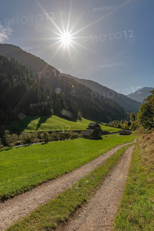 Agriculture, alpine pasture in the valley Zillergrund, mountain stream Ziller, alpine pasture, Zillertal Alps, path, mountain slope, coniferous forest, backlight, blue sky, Tyrol, Austria