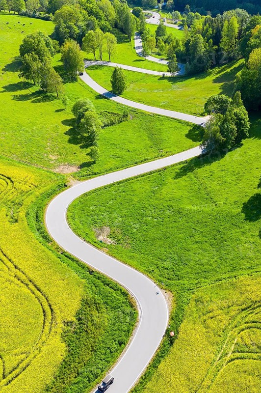 Aerial view of the winding serpentine road between blossoming rapeseed fields from Reifland to Rauenstein, Pockau-Lengefeld, Erzgebirge, Saxony, Germany