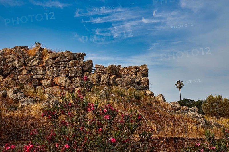 Old stone ruin with blooming shrubs including a blue sky, Tiryns, ancient city in Argolis, Mycenaean, Peloponnese, Greece
