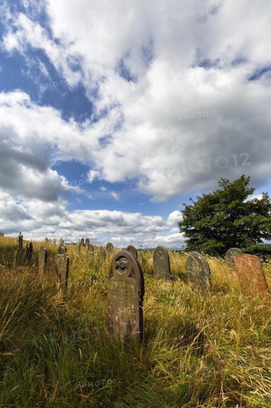 Overgrown old gravestones in a meadow, rows of graves in a cemetery, St Garmons Church, Capel Garmon, Conwy, Wales, United Kingdom