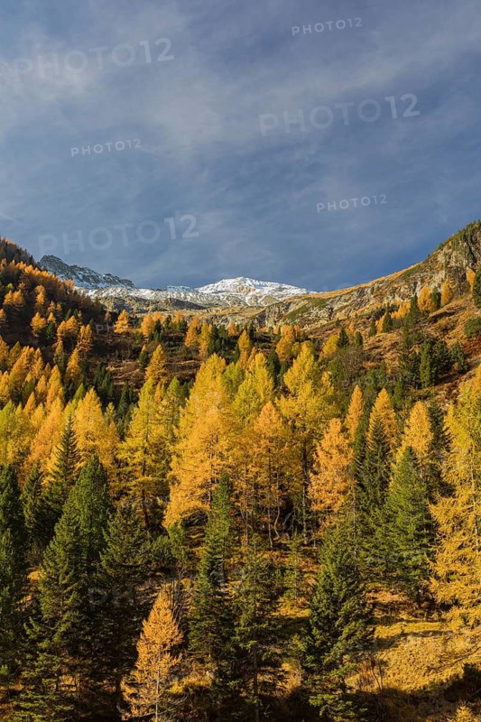 Fall foliage seen from the Malta Hochalm road. Carithia, Austria