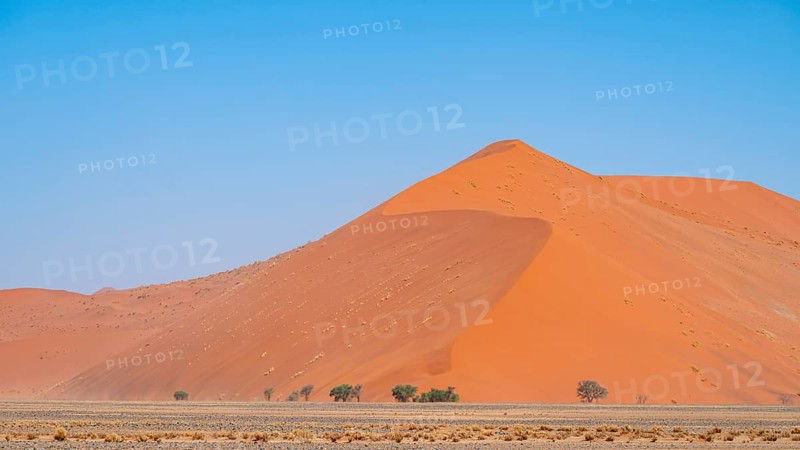 Dune 45, dune, sand dune, Sossusvlei, Namib Desert, Namib-Naukluft National Park, Namibia