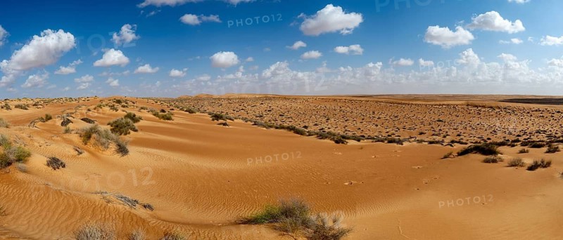 Sand dunes in the Wahiba Sands desert, Oman