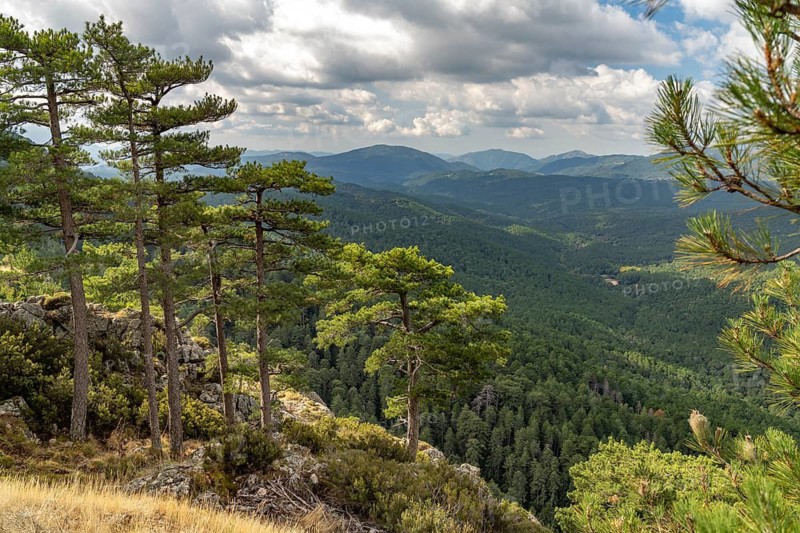 Mountainous landscape in the Bavella massif, Corsica, France