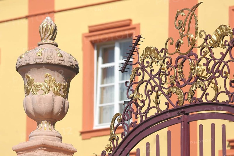 Gilded lid vase with metal grid, detail, baroque castle, Kirchheimbolanden, Rhineland-Palatinate, Germany