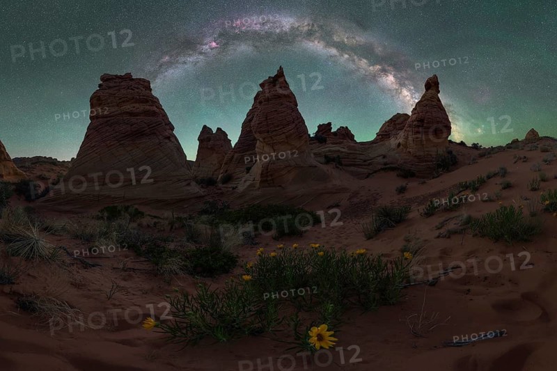 Majestic view of the Utah desert at night with a brilliant Milky Way arch visible above towering sandstone formations amid a serene landscape dotted with wildflowers