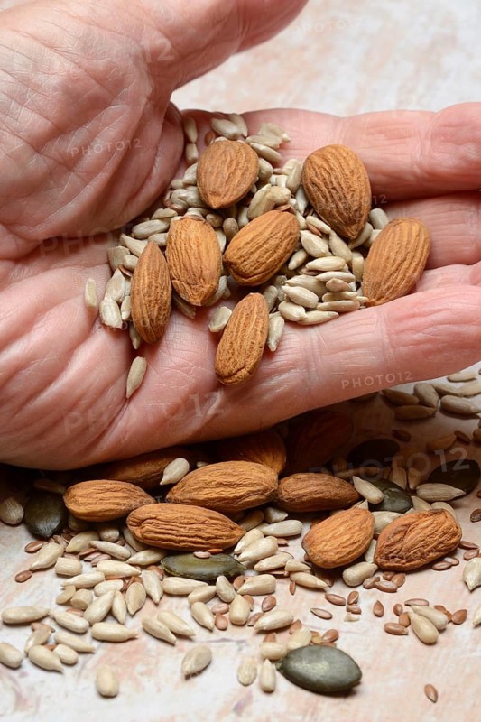 Kernels in hand, kernel mix of almond seeds, sunflower seeds, linseeds and pumpkin seeds