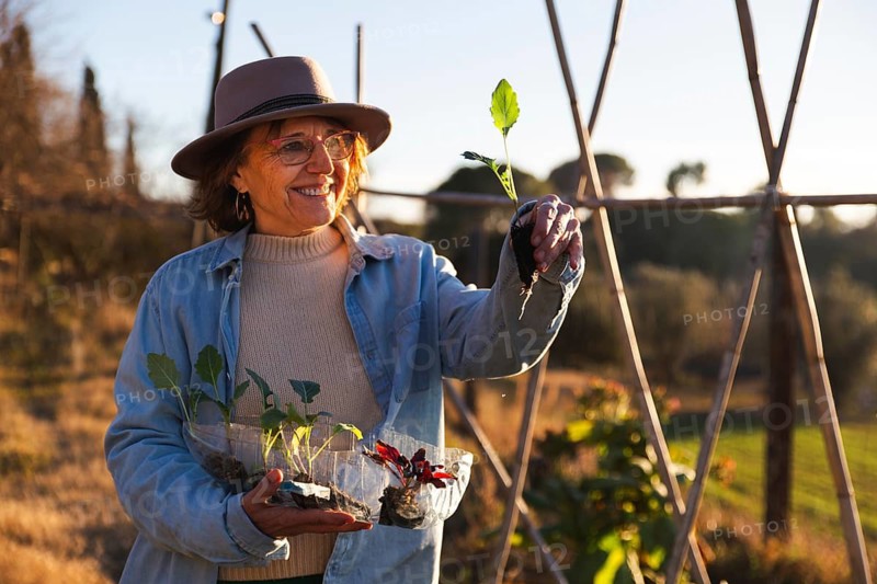 A smiling woman with a hat holds a seedling in a sunny rural garden in Barcelona, Spain. She wears a denim shirt and glasses, exuding happiness and contentment with nature