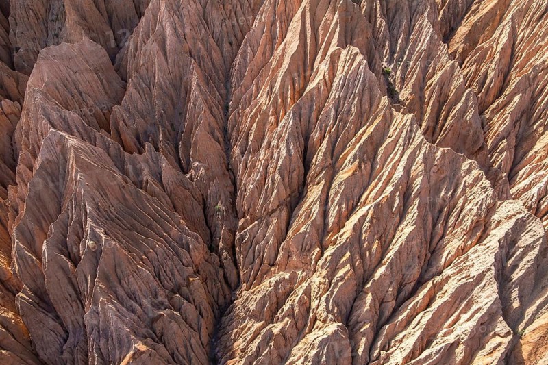 Aerial photograph showcasing the intricate patterns of gully erosion carved into a dry and rugged landscape, highlighting the impact of natural erosion processes over time