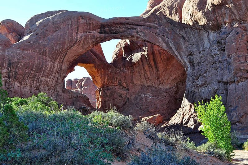 An impressive double arch, called Double Arch, with surrounding vegetation in a desert-like setting, Arches National Park, Utah, USA