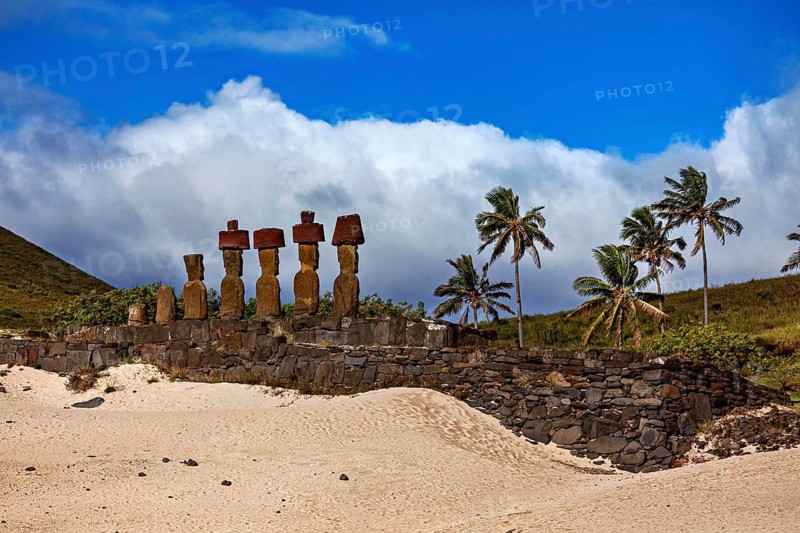 Moai statues on Easter Island against a partly cloudy, blue sky and surrounded by palm trees, The Moai statues on Easter Island in the Pacific Ocean