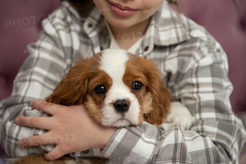 A girl in cozy attire hugs a cute puppy warmly at home. The scene captures the bond between humans and pets, highlighting joy, comfort, and companionship