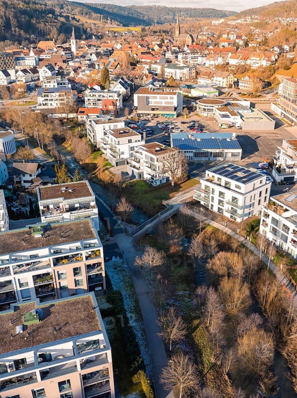 Urban landscape with mixed architecture and hilly background, Nagold, Black Forest, Germany