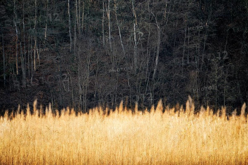 Landscape, Oberweser, Germany, German