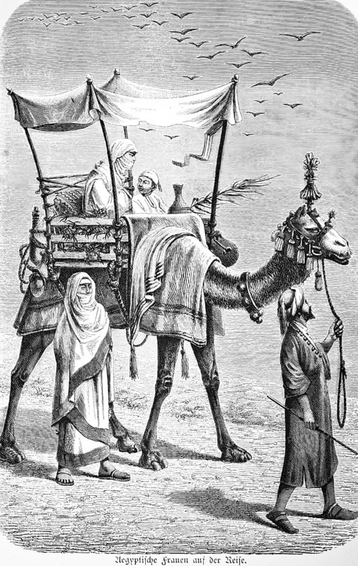 Veiled Egyptian woman travelling, armchair in basket, sun protection, heat, desert, drought, drinking vessel, palm branch, cotton cloth Haik, decorated camel, camel and travel guide, historical illustration, Egypt, 19th century woman