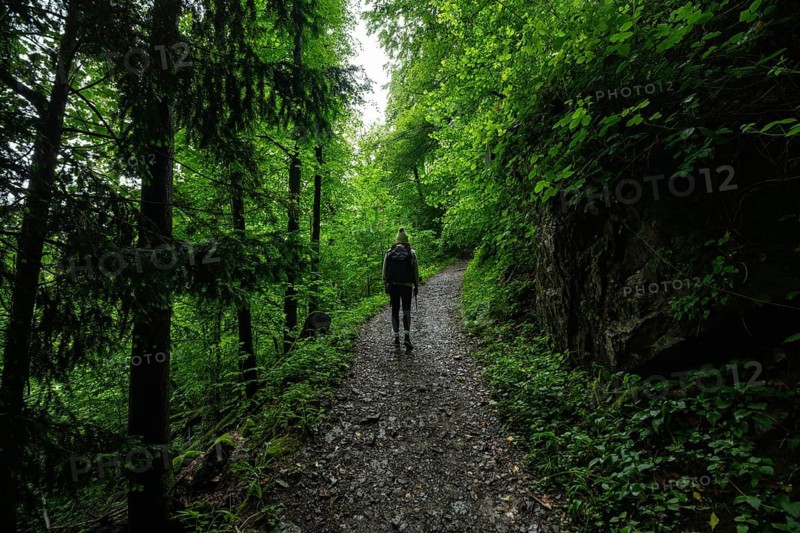 A woman walks along a lush forest trail at the foot of the Dolomites, surrounded by dense greenery and damp earth. A peaceful and quiet moment immersed in nature and exploration