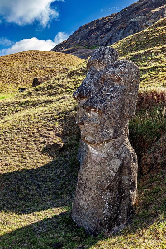 A single moai against a hilly background in sunlight, the moai statues on Easter Island in the Pacific Ocean