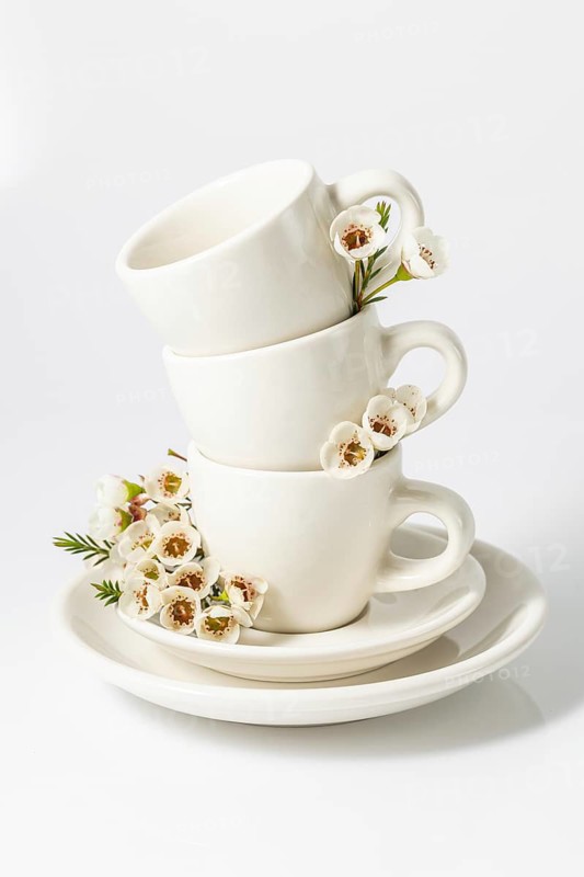 Stacked white tea cups decorated with delicate spring flowers, set against a pristine white background, perfect for a refreshing aesthetic