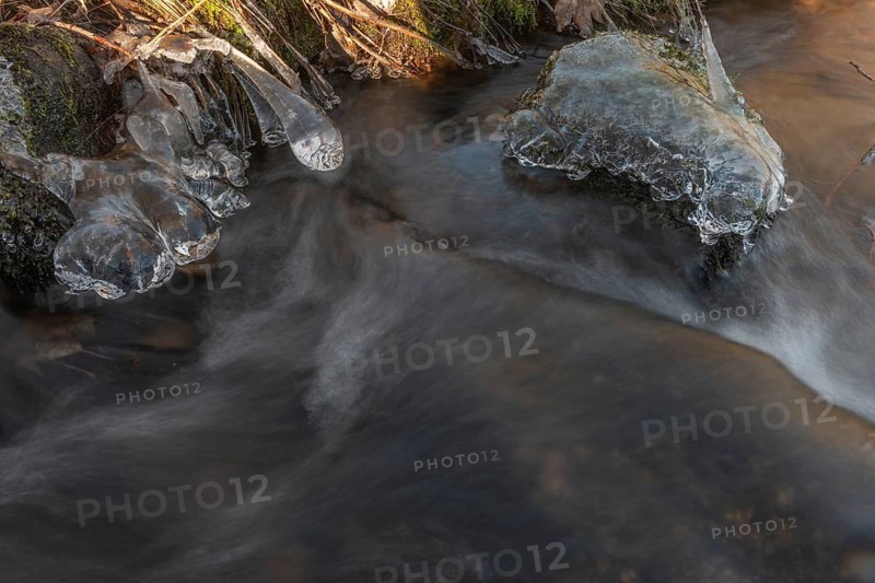 Branches are covered with ice near the river. The water flows gently and forms ice formations on the land and between the rocks. Upper Rhine, Vosges, Alsace, France