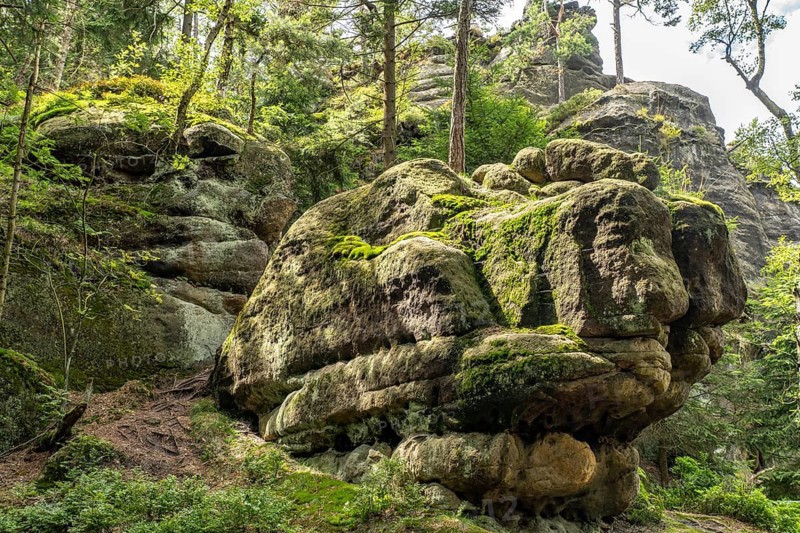 Mühlsteinbrüche hiking area near Jonsdorf in the Zittau Mountains, Upper Lusatia, Saxony, Germany